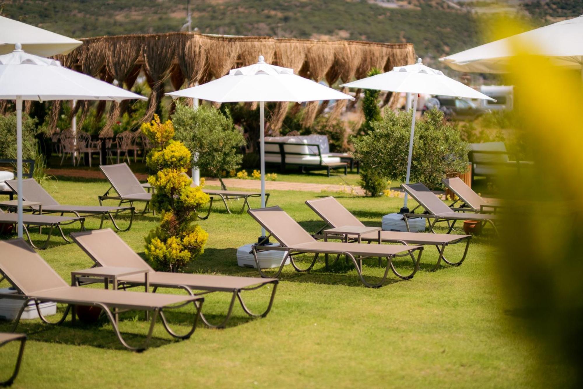 Assos Troy Beach Hotel Εξωτερικό φωτογραφία